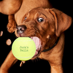 Bolas de tenis personalizadas divertidas