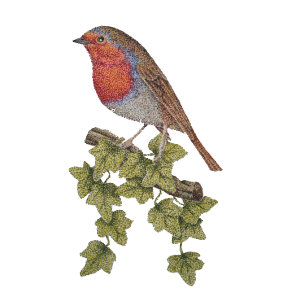 Bolígrafo De Tinta Azul Robin perched on ivy leafs wild birds