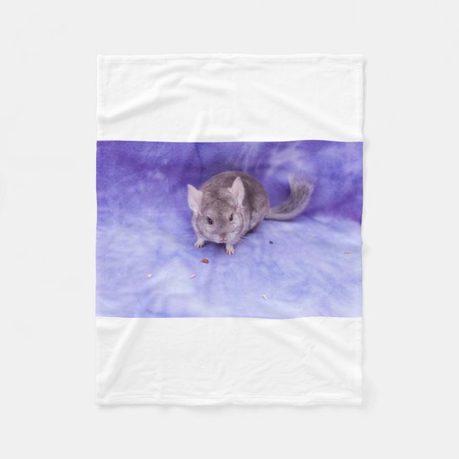 ¡Bolos! Manta de la chinchilla (Anverso)