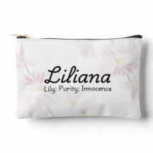 Bolsa accesoria pequeña Liliana