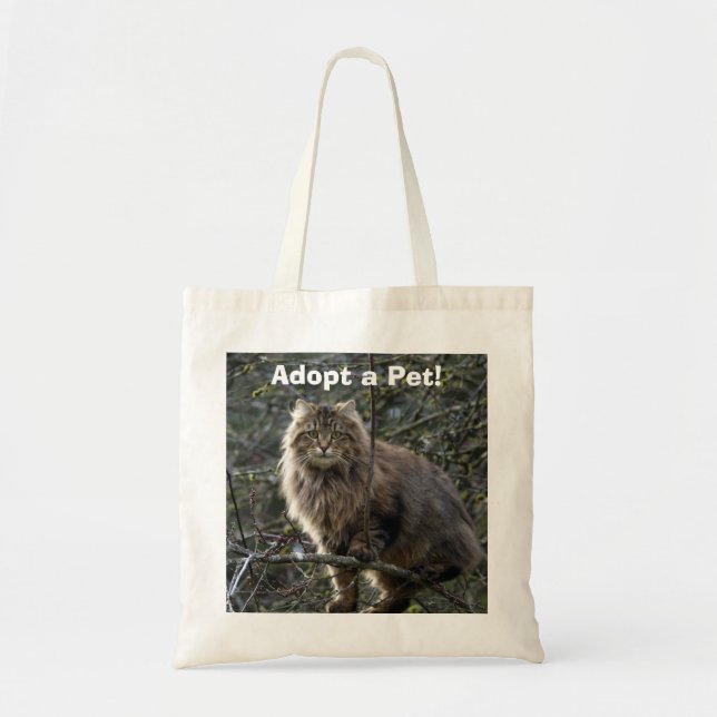 Bolsa animal de gato de pelo largo con tabby (Frente)