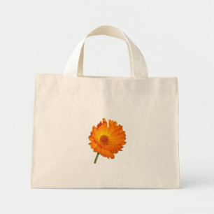 Bolsa - Calendula en Stem