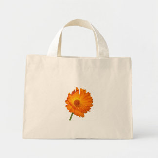 Bolsa - Calendula en Stem