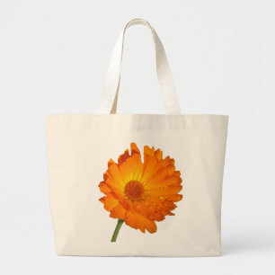 Bolsa - Calendula en Stem