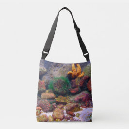 Bolsa de acuario