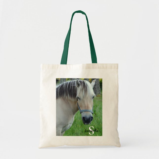 Bolsa de aleta de caballo (Frente)