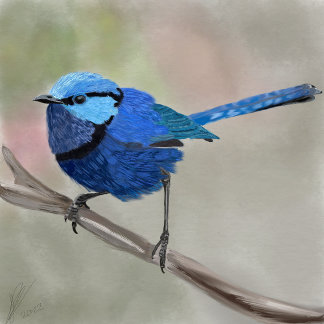 Bolsa de aleta de Fairy Wren