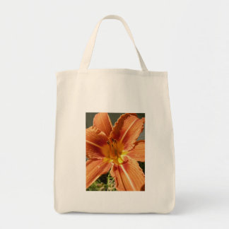 Bolsa de aleta de lirio
