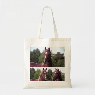 Bolsa de aletas