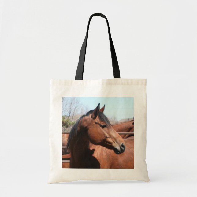 Bolsa de aletas de caballos de la bahía (Frente)