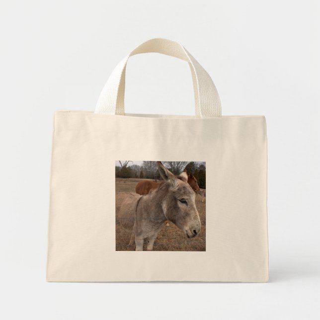 Bolsa de burro (Frente)