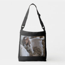 Bolsa de cadáveres con cabra bebé