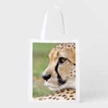bolsa de compras. Bolsa de compras.