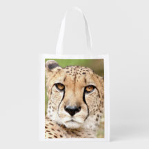 bolsa de compras. Bolsa de compras.