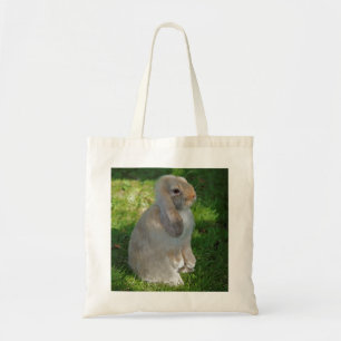 Bolsa de conejo Minilop bebé