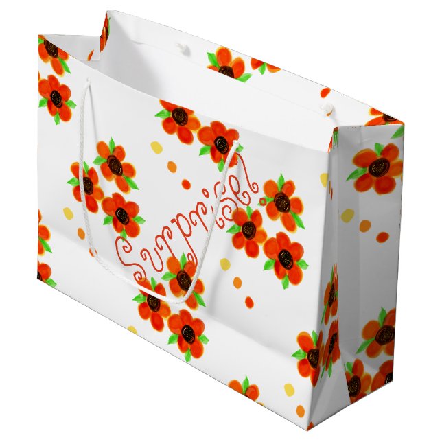 Bolsa de cumpleaños sorpresa (Angulo Anverso)