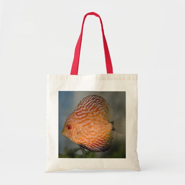 Bolsa de Discus Pigeon Stone (Frente)