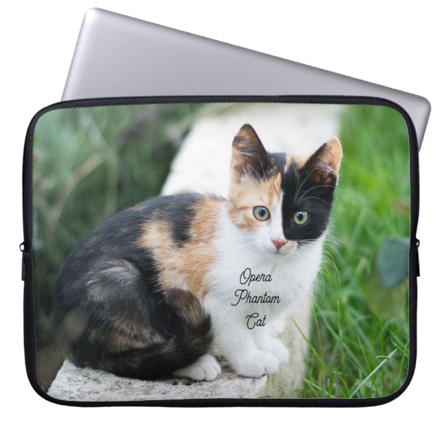 Bolsa de Electrónica para Gatos Fantasmas de la Óp (Frente)