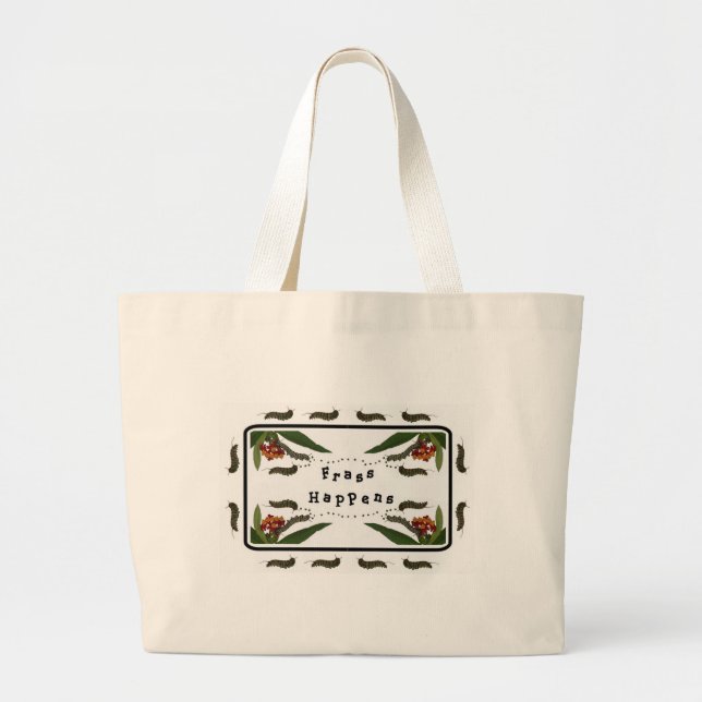 Bolsa De Fenómenos (Frente)