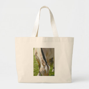 Bolsa de fiordo
