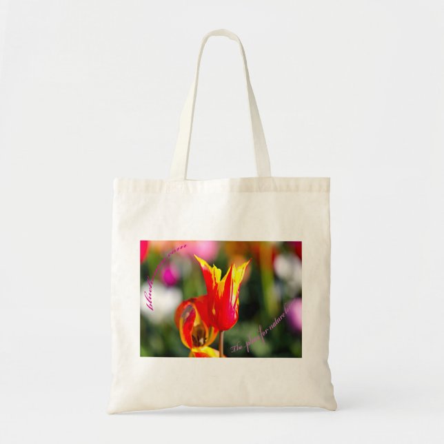 bolsa de flores (Frente)