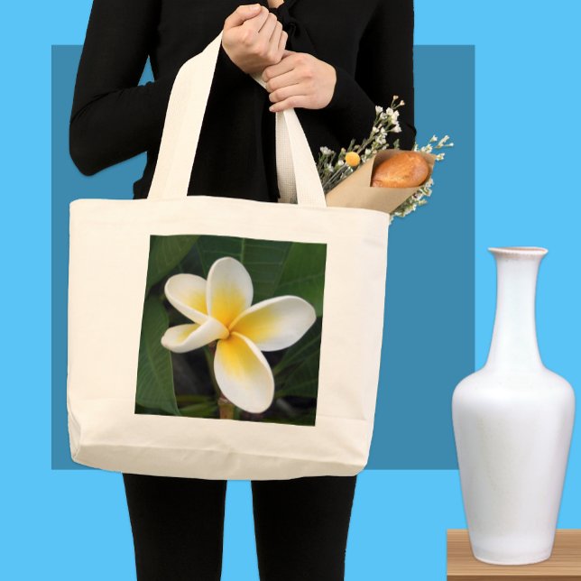Bolsa de flores de Frangipani (Subido por el creador)