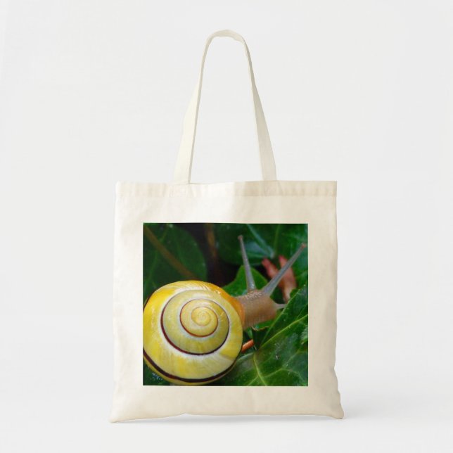 Bolsa de fotos de caracol amarillo (Frente)