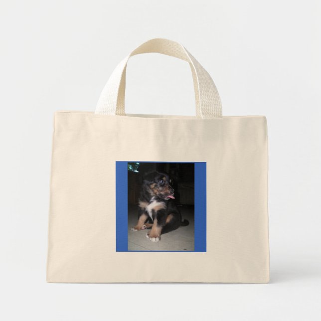 bolsa de frambuesa (Frente)