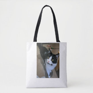 Bolsa de gato.