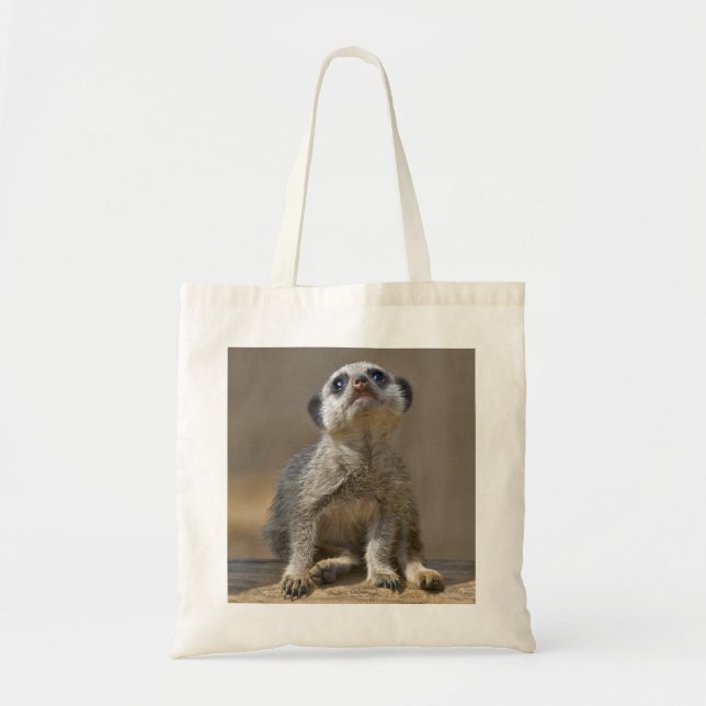 Bolsa de gato Kute (Frente)