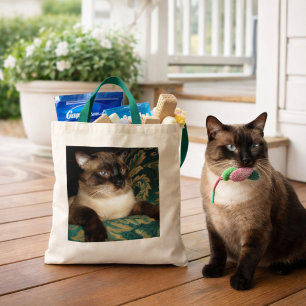 Bolsa de gato siamesa de cara puntiaguda