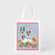 Tres Collies Espléndidos