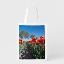 Tulipanes amarillos y rojos en un campo