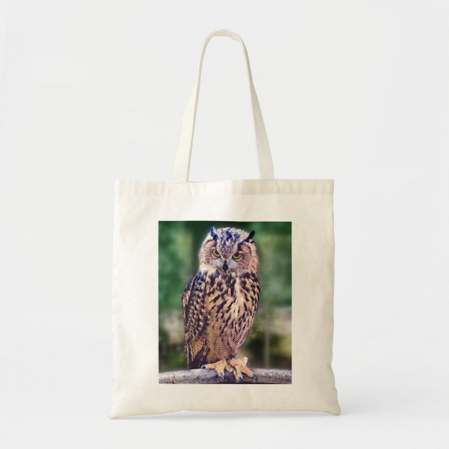 Bolsa de la foto de Owl (Frente)