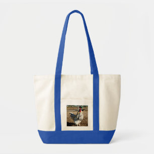 Bolsa De La Granja Específica, Bolsa De La Tota De