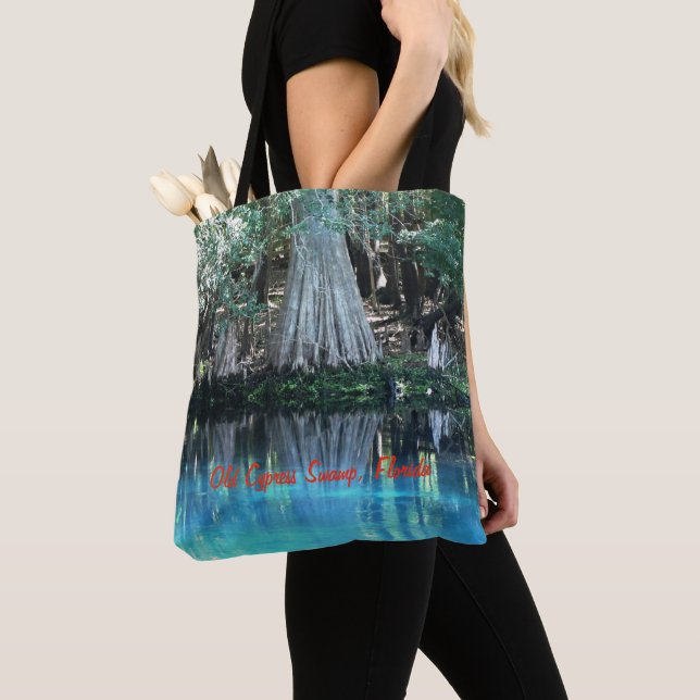 Bolsa De La Masa De La Reflexión Del Árbol Del Cyp (Detalle)