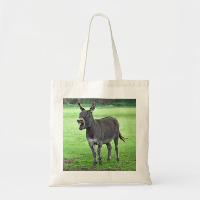 Bolsa de la Risa del Burro (Frente)