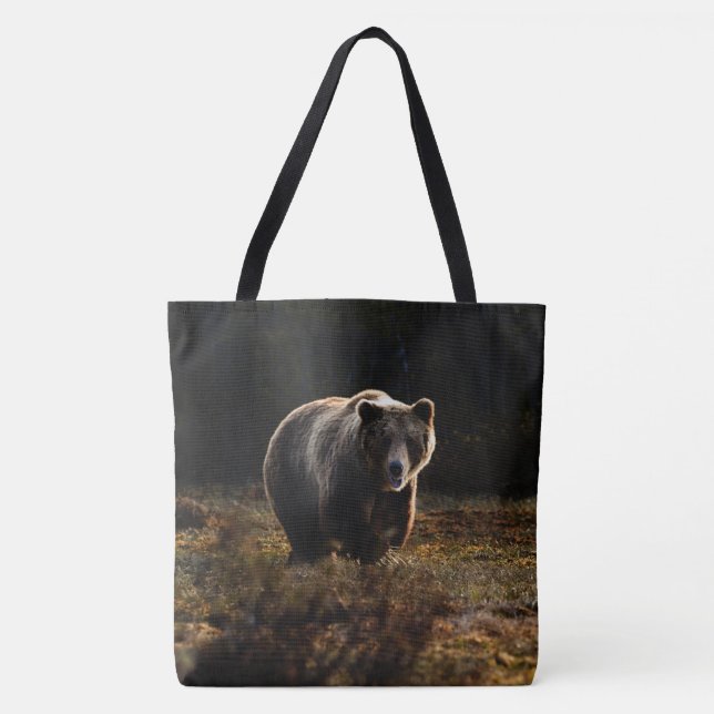 Bolsa de la toga del oso (Anverso)