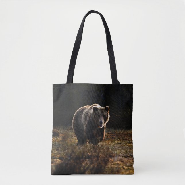 Bolsa de la toga del oso (Anverso)