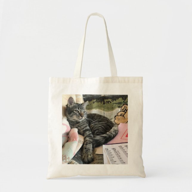 Bolsa de la tota del gato de Tabby (Frente)