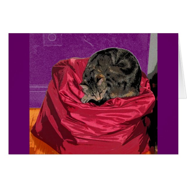 Bolsa de lavado Indigo CB (Anverso (Horizontal))