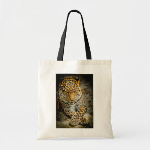 Bolsa de leopardo en marcha