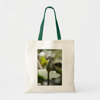 Bolsa de libélula