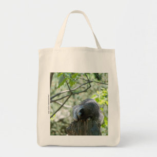 Bolsa de mapache