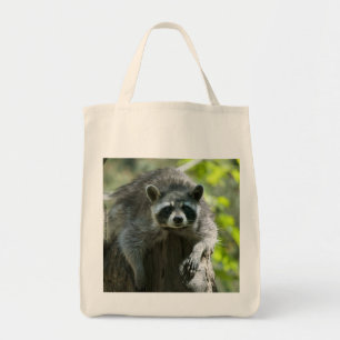 Bolsa de mapache