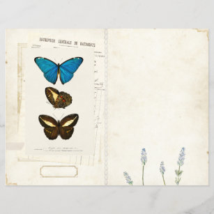 Bolsa de mariposa Diario basura Página Vintage ant