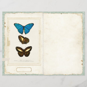 Bolsa de mariposa Diario basura Página Vintage ant