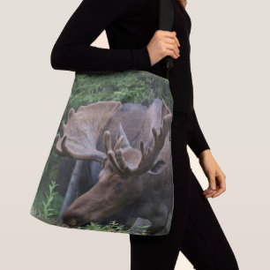 Bolsa de moho