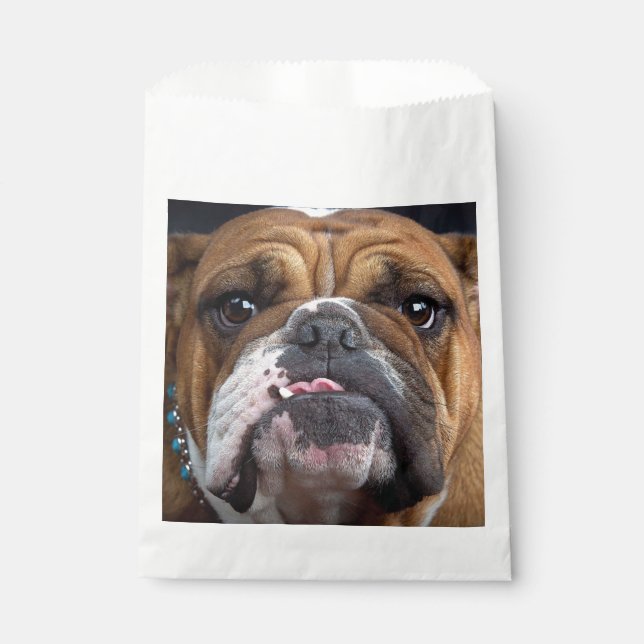 Bolsa De Papel Almohada de inglés bulldog (Anverso)