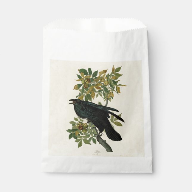 Bolsa De Papel Arte clásico Audubon Raven (Anverso)